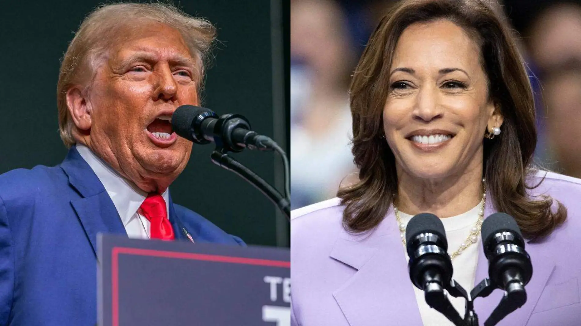 Trump y Harris